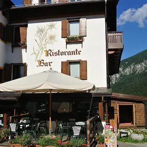 Stella Alpina Hotel San Pietro di Cadore